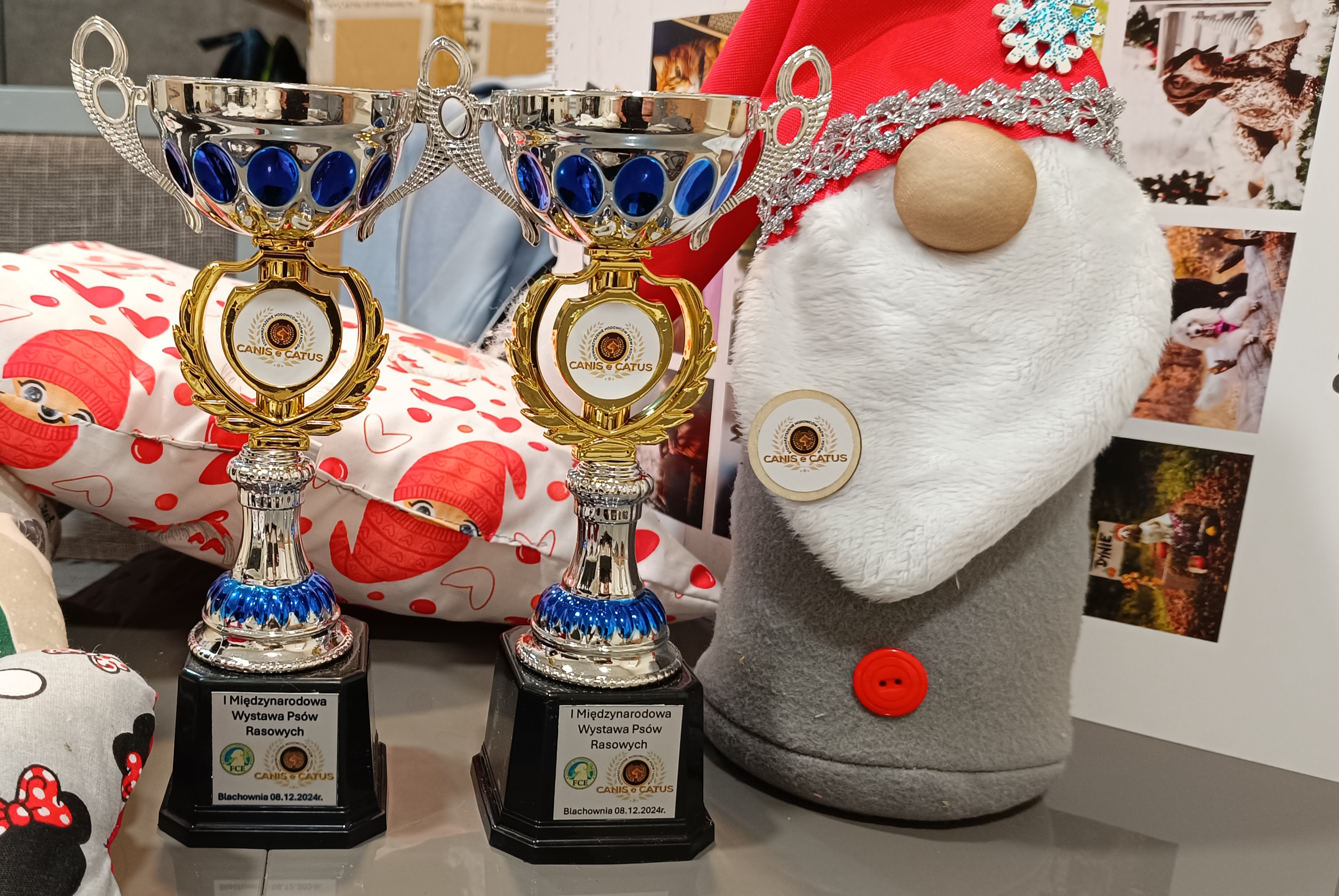 Trofea z I Międzynarodowej Wystawy Psów Rasowych, Balchowania.