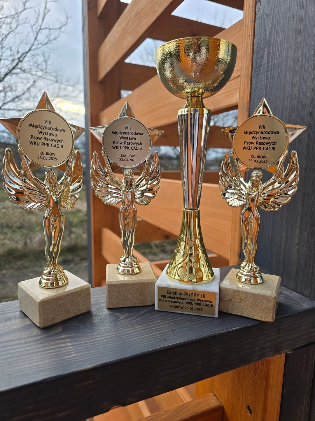 Trofea z VIII Międzynarodowej Wystawy Psów Rasowych WKU PPK CACIB.