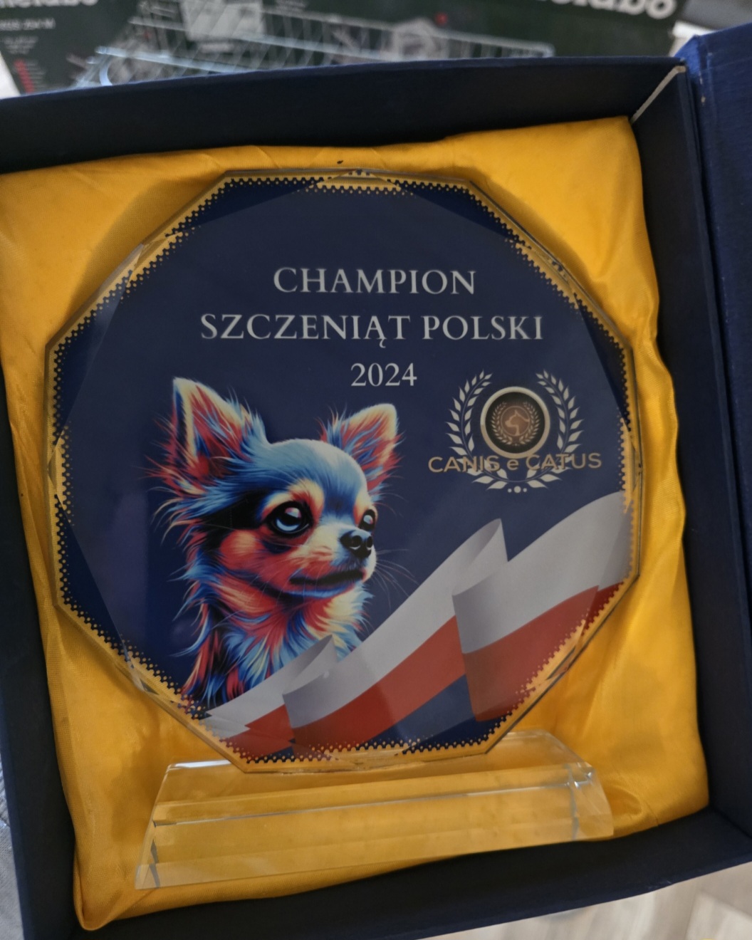 Statuetka Chempiona Szczeniąt Polski 2024