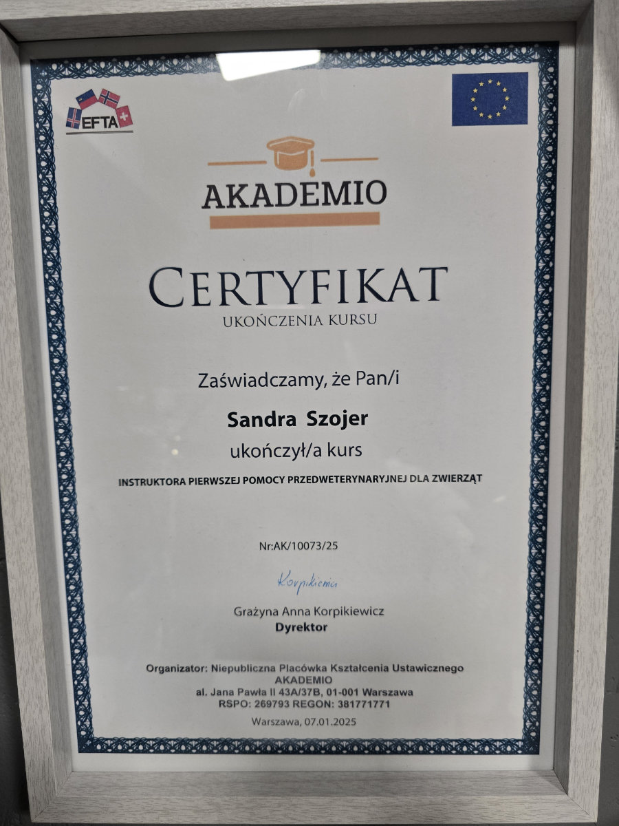 Certyfikat ukończenia kursu instruktora pierwszej pomocy przedweterynaryjnej dla zwierząt dla Sandry Szojer.