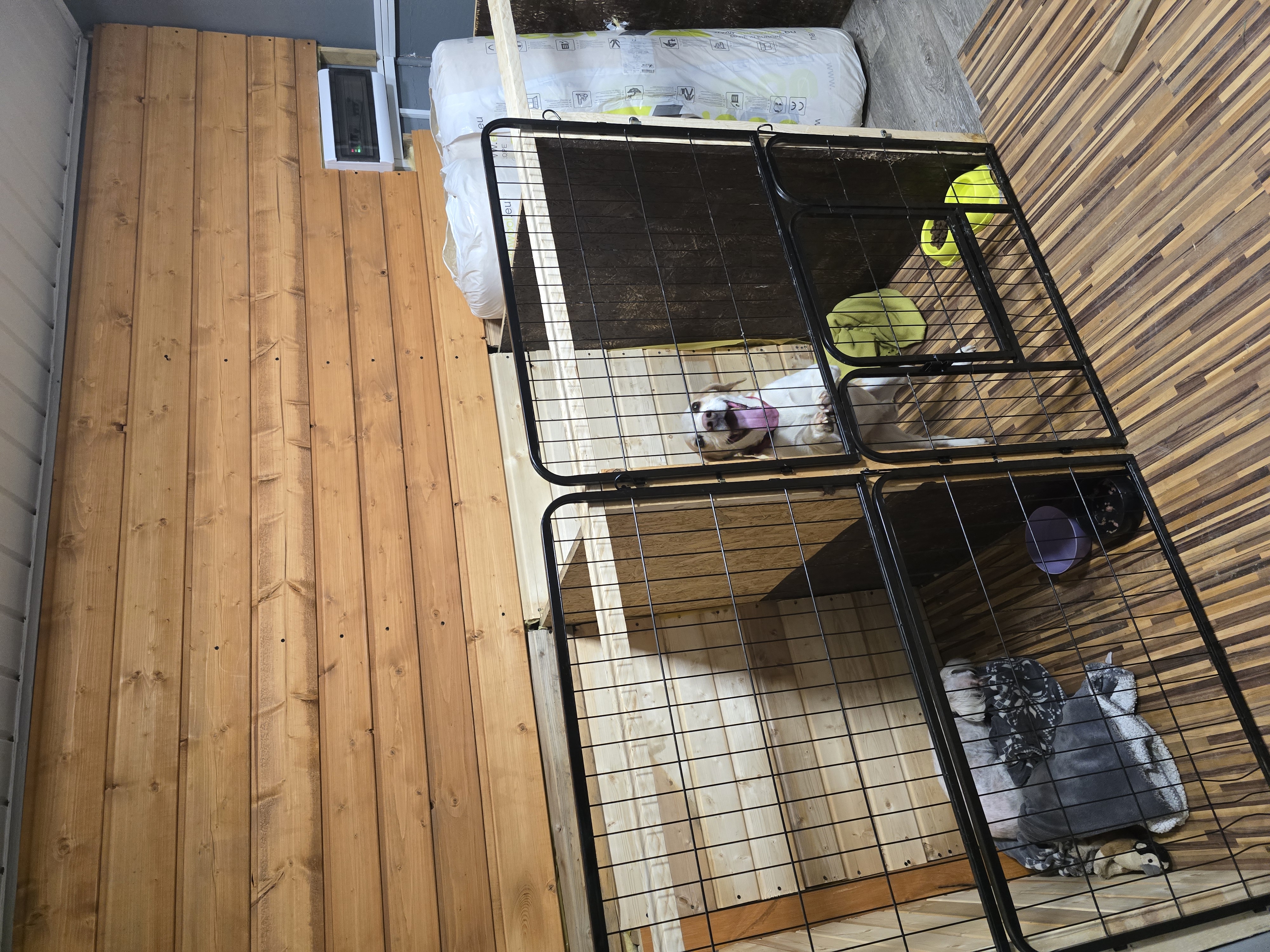 Boksy w hotelu dla zwierząt.