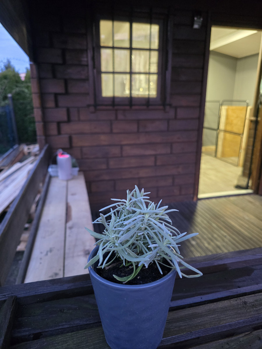 Widok na ganek hoteliku dla zwierząt.