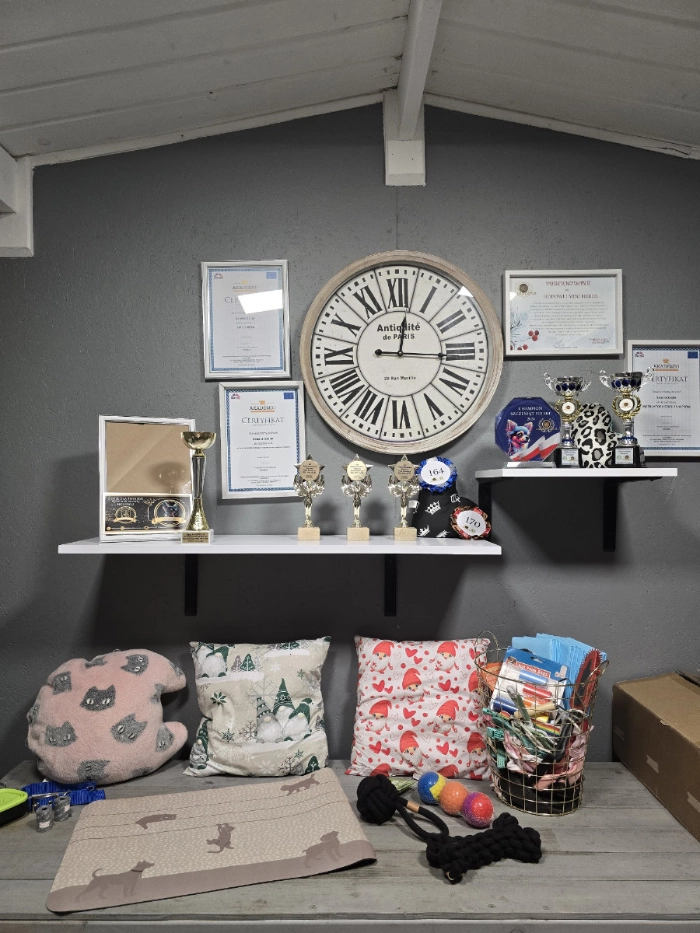 Wnętrze hoteliku dla psów - widok na półkę z trofeami.