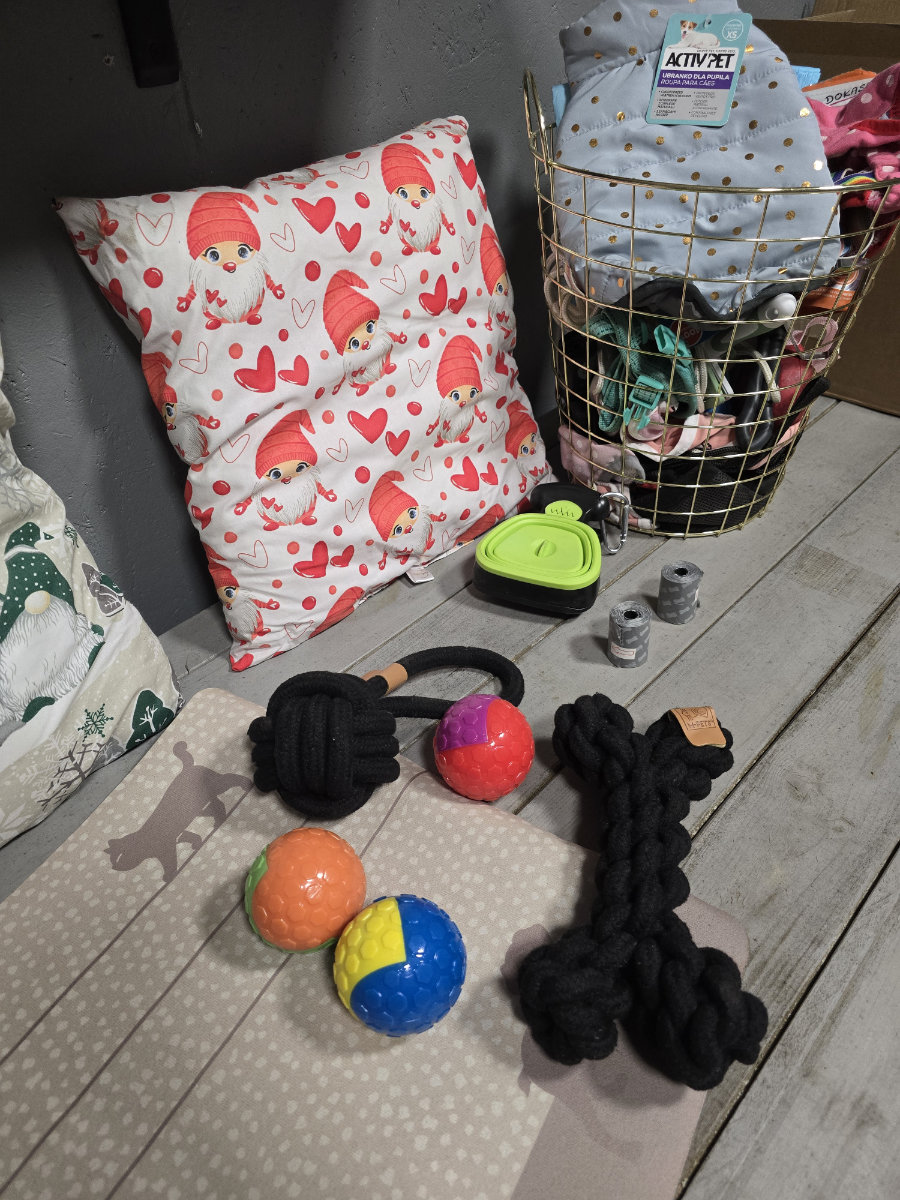 Zabawki dla gości hoteliku dla psów i kotów.